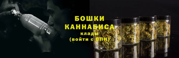 мяу мяу мука Горно-Алтайск